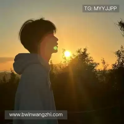 盛攀利